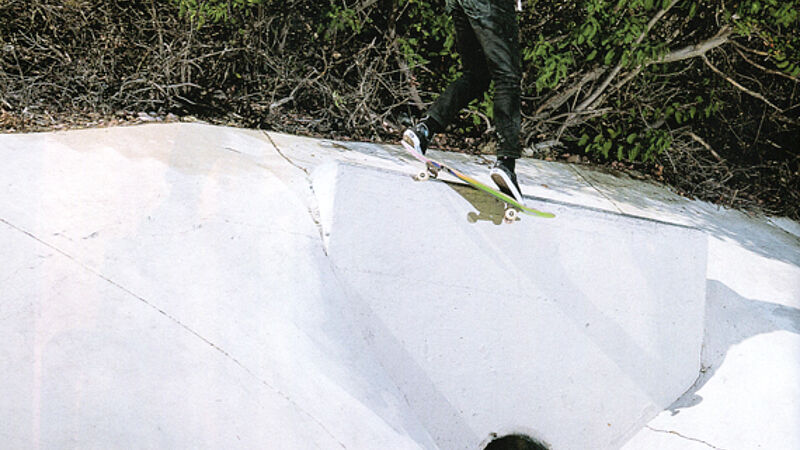 Riley Hawk | "Shep Dogs 5" Part