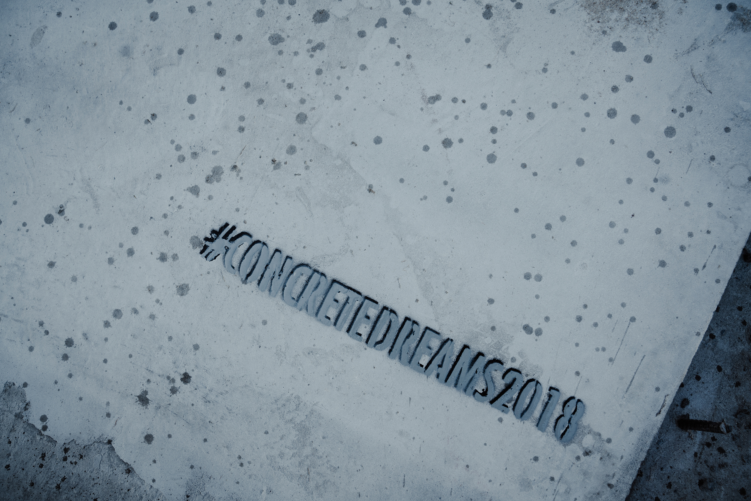 ConcreteDreams_Scholz-05749_BLOG.jpg