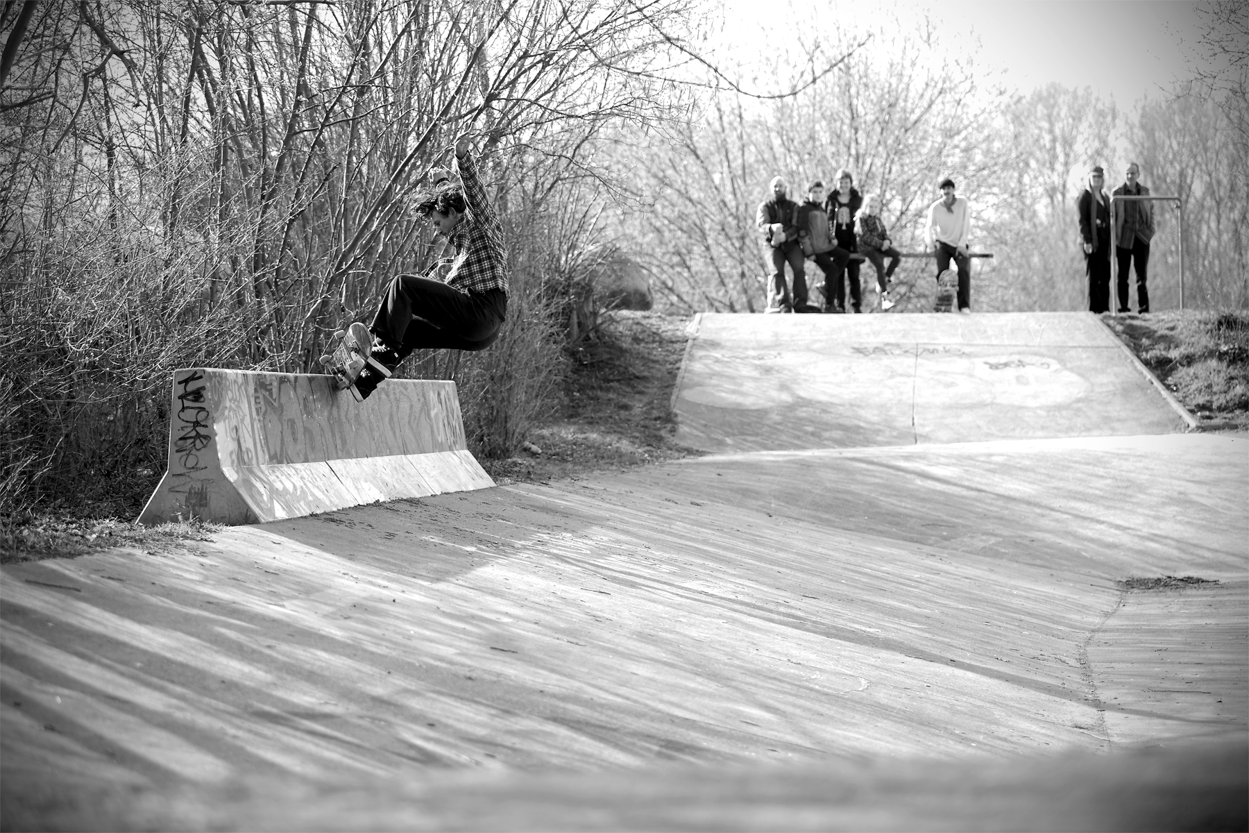 Frenchie01_SwFsGrind_Berlin_adj_.jpg