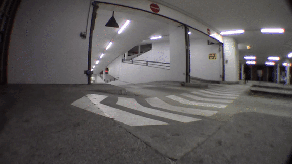 Ollie, Münster. Ollie, Münster.