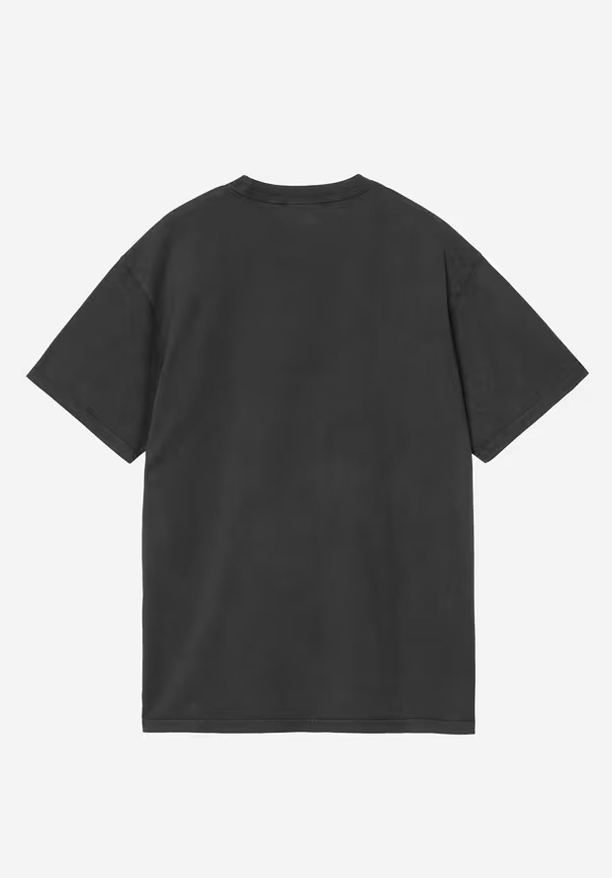 Carhartt WIP Faded Pond Corps T-Shirt blackheavystonewash – Rückenansicht