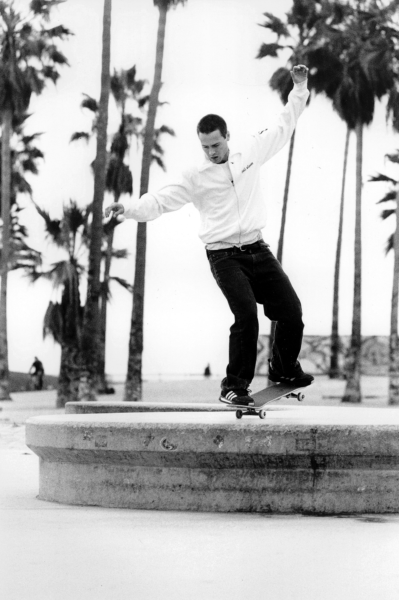 JaschaMueller-Nosemanual.jpg