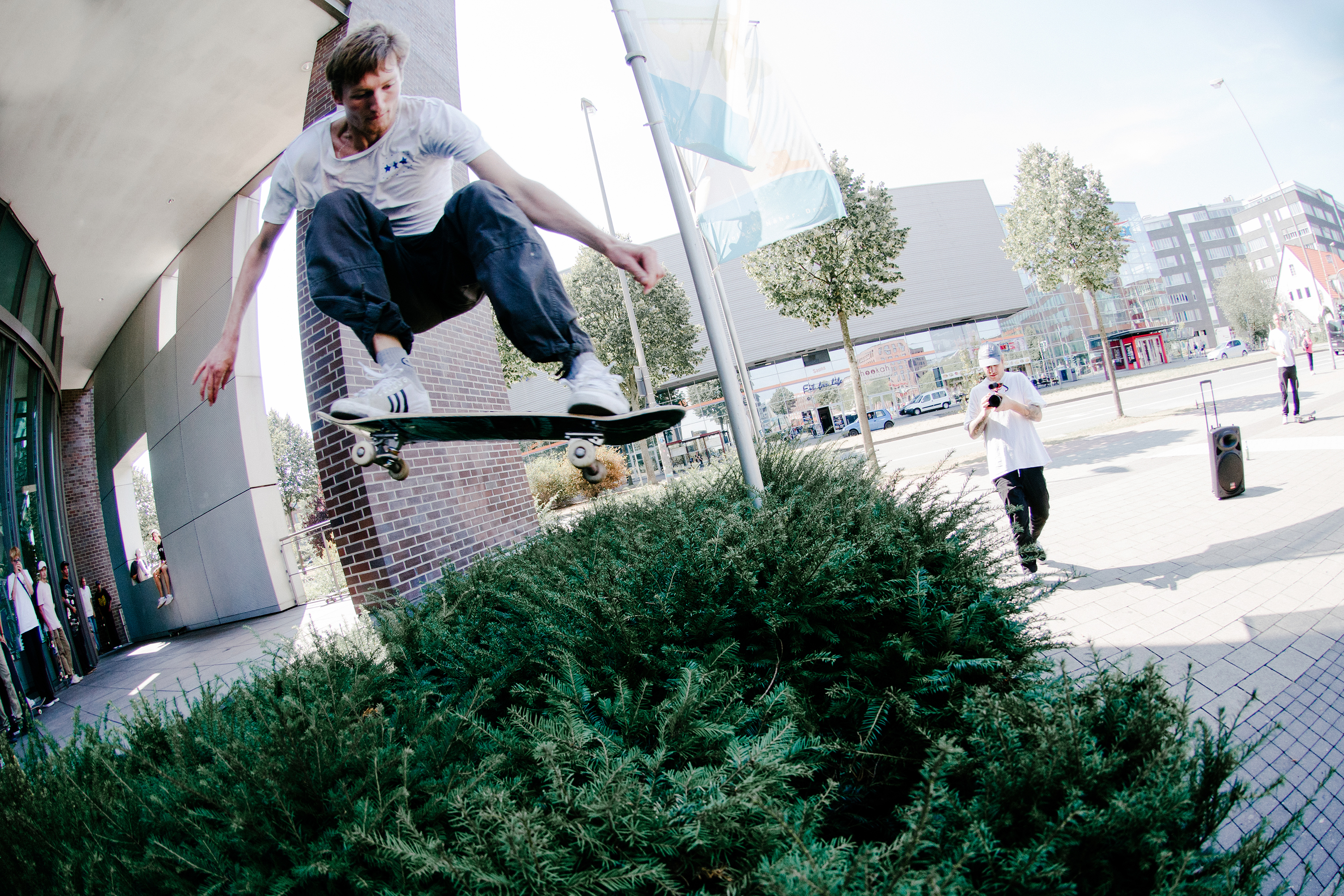 Mike_Brauer_Ollie.jpg