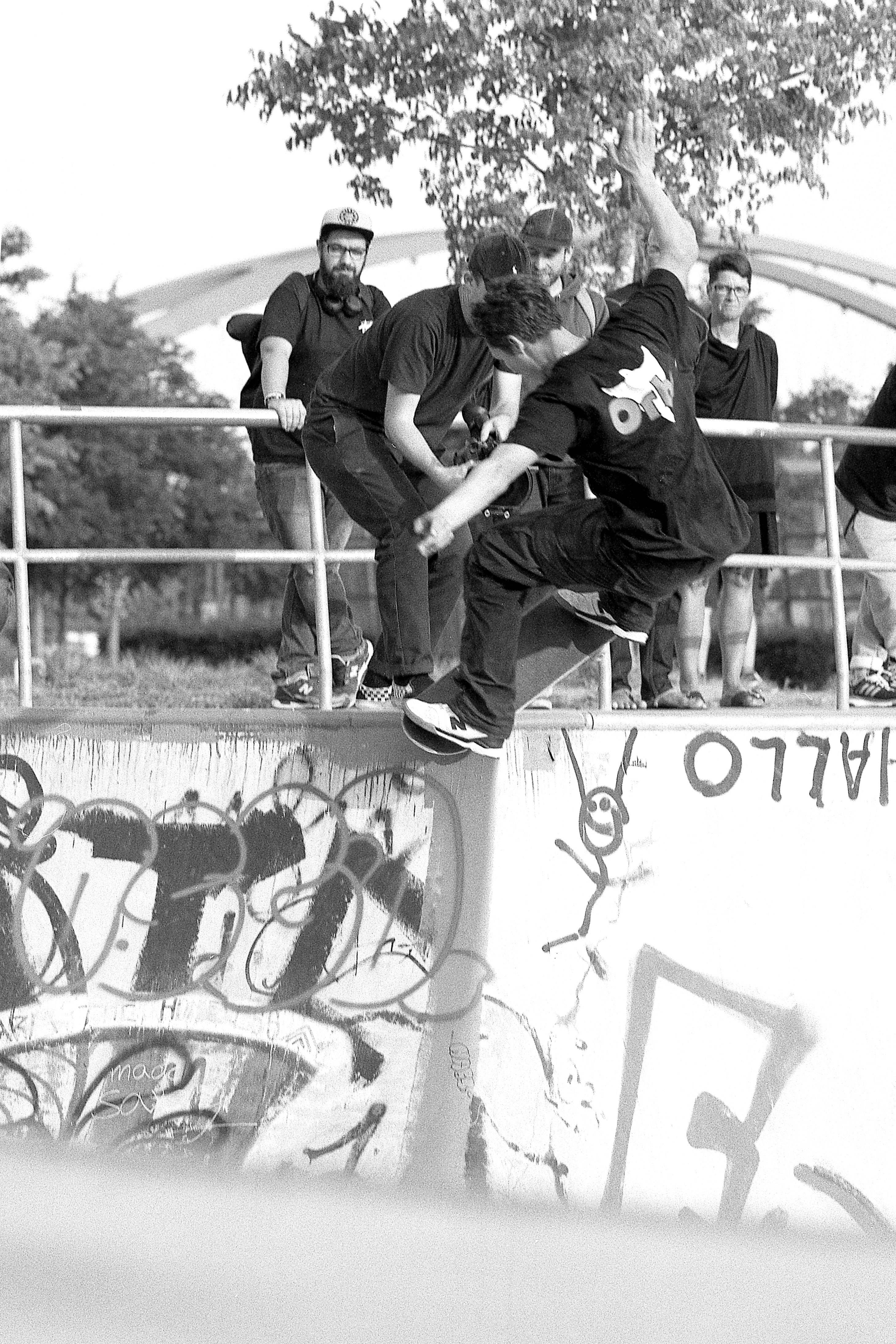 ShawnHale_AlleyOop5-0ToFakie_Frankfurt_crop_.jpg