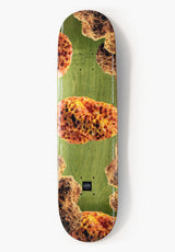 TITUS Porifera Deck green – Vorderansicht
