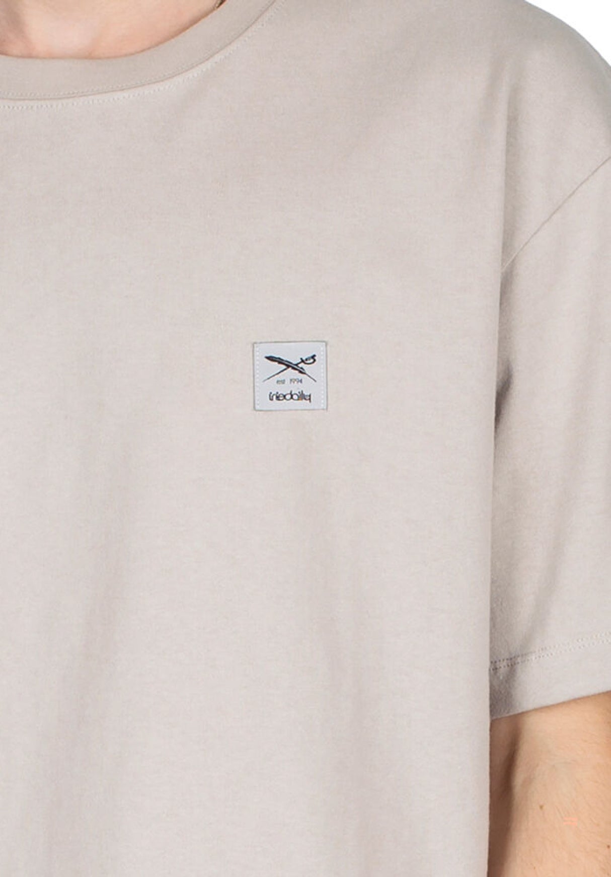 iriedaily Heavy Flag T-Shirt cloudgrey – Rückenansicht