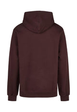 iriedaily Smokin Van Hoodie aubergine – Rückenansicht