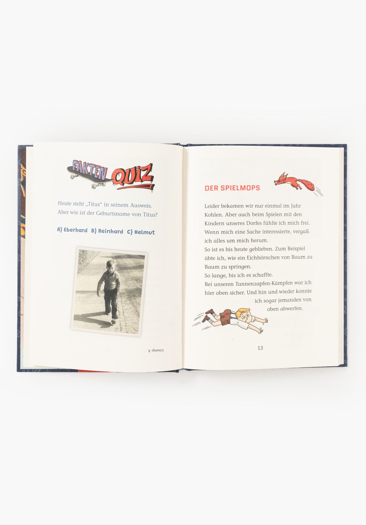Coppenrath Verlag Mein Skateboard und ich diverser Artikel multicolor – Detailansicht 2