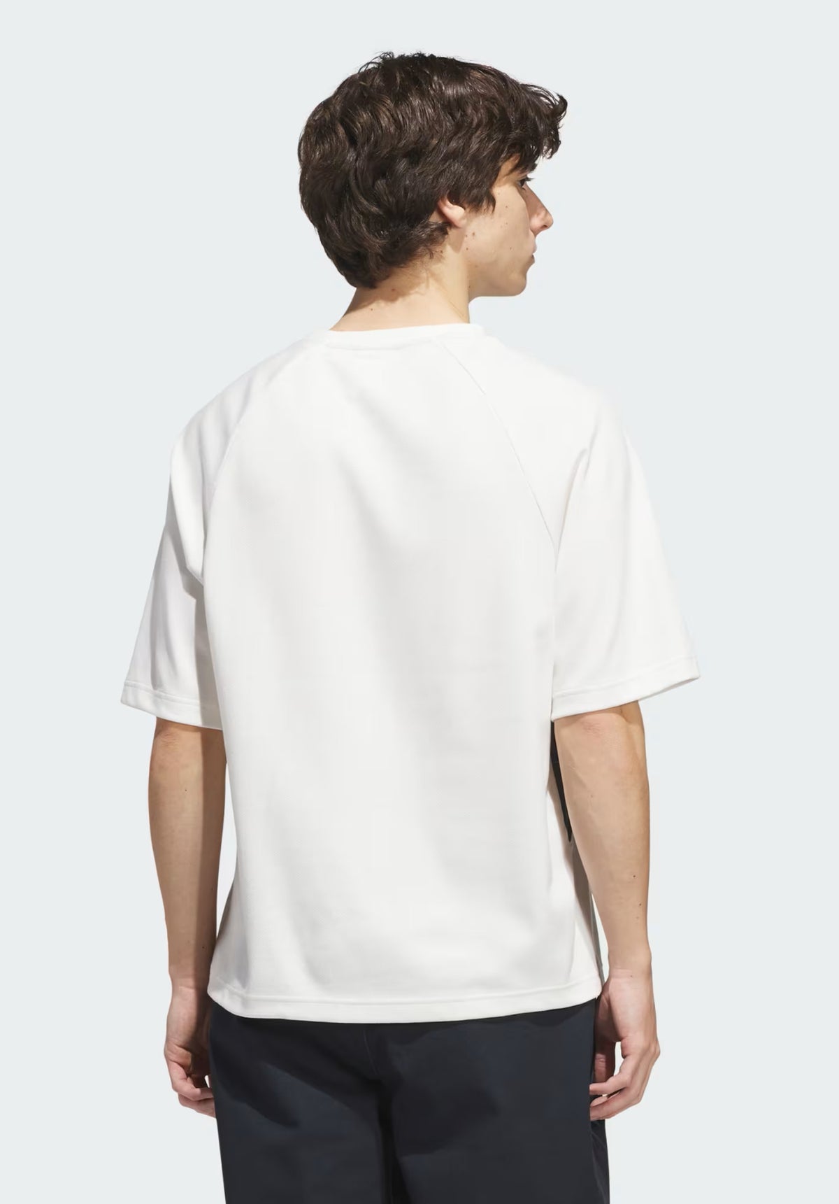 adidas-skateboarding FS+ Jersey T-Shirt white-navy – Rückenansicht