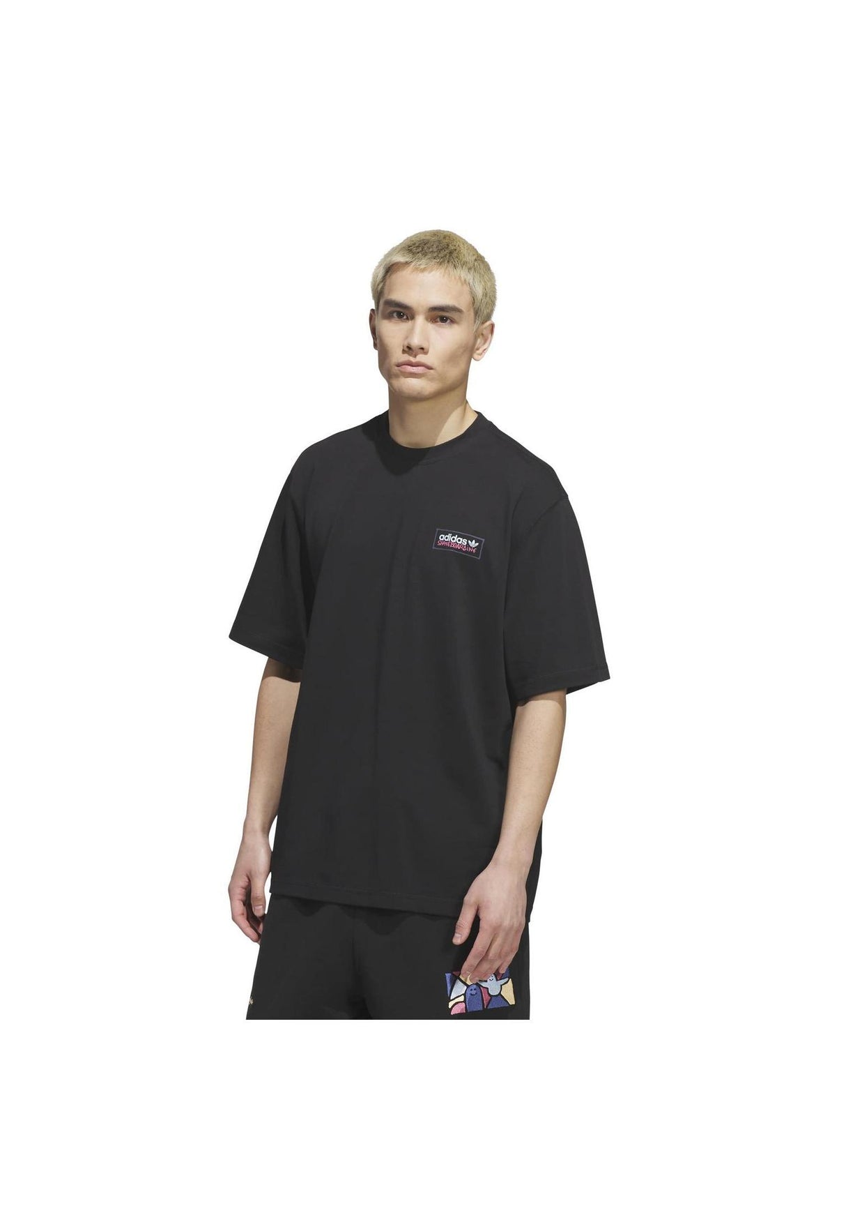 adidas-skateboarding Gonz Mod T-Shirt black – Rückenansicht