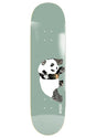 New Pro Collage Panda R7 grey Vorderansicht