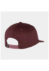 Santa-Cruz Cruz Label Cap darkplum – Rückenansicht