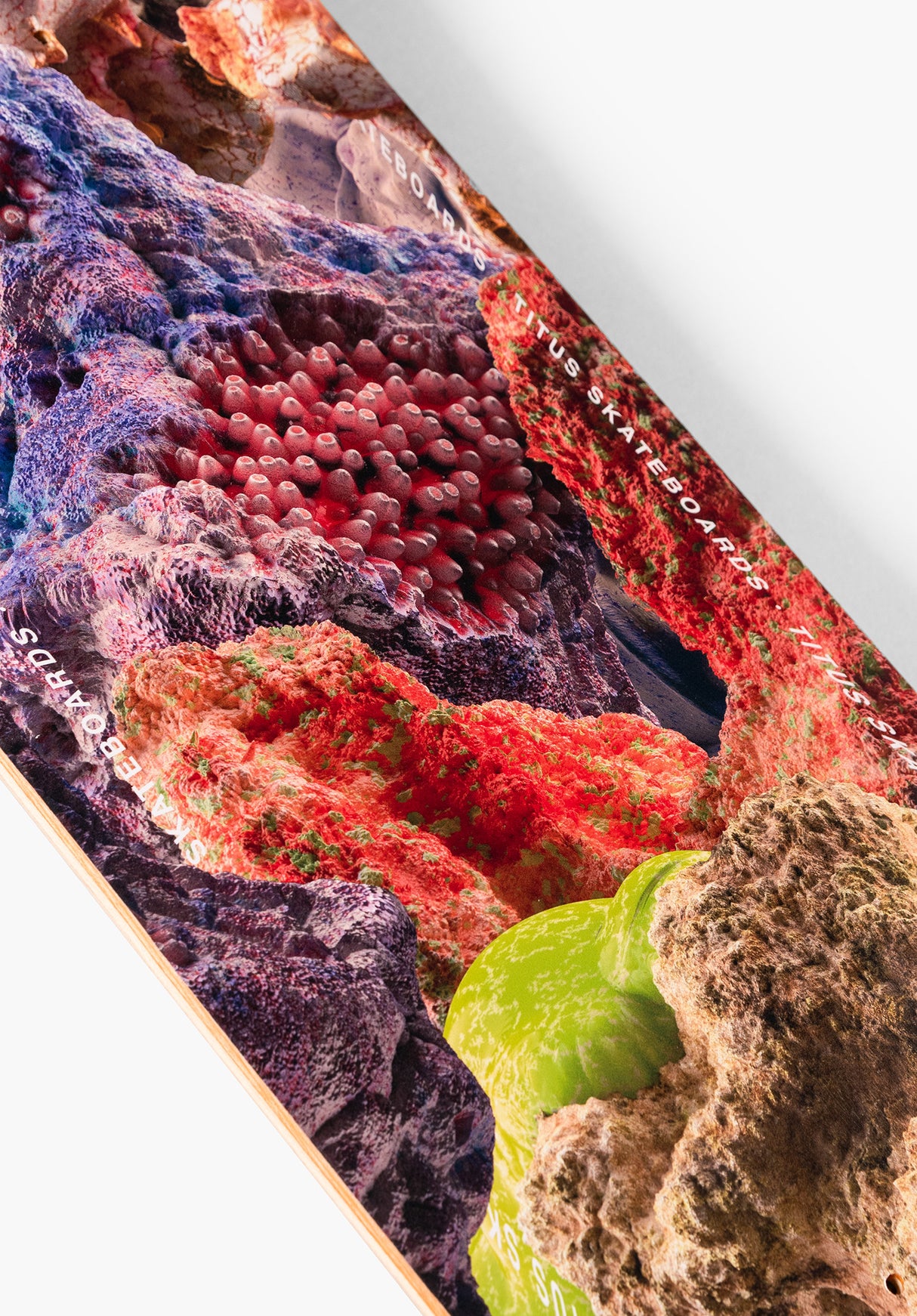 TITUS Annual Deck multicolored – Oberansicht