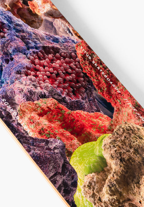 TITUS Annual Deck multicolored – Oberansicht