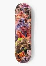 TITUS Annual Deck multicolored – Vorderansicht