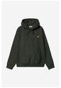 Hooded American Script raven Vorderansicht