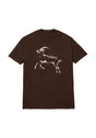 Goat brown Vorderansicht