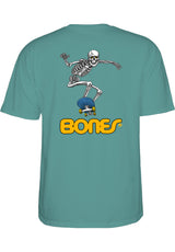 Skateboard Skeleton II aquatic Rueckenansicht