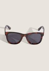 Spicoli 4 tortoise-shell Rueckenansicht
