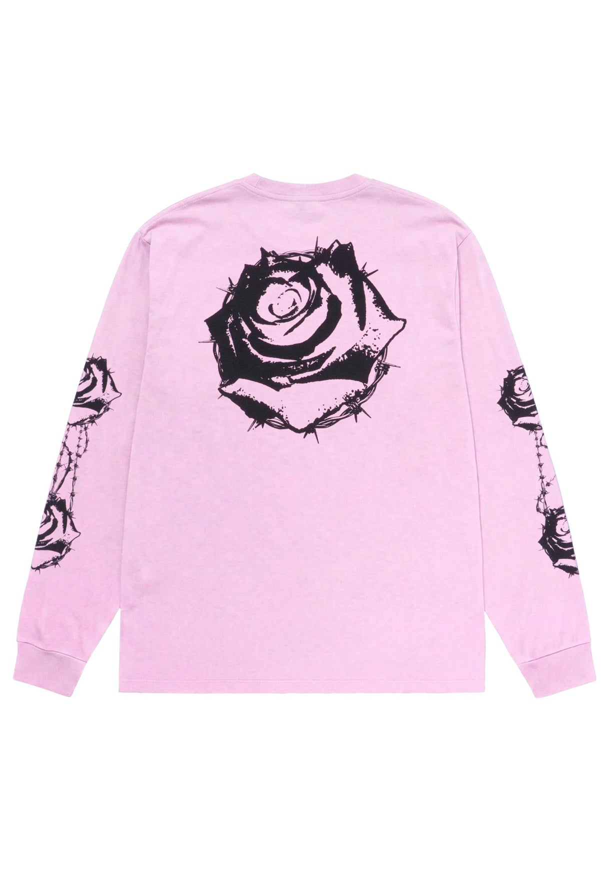 Bed Of Roses rose Rueckenansicht