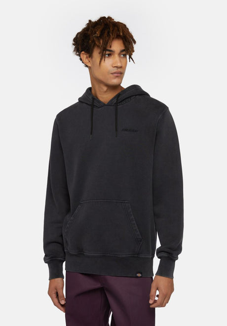 Dickies Plentywood Hoodie black – Vorderansicht