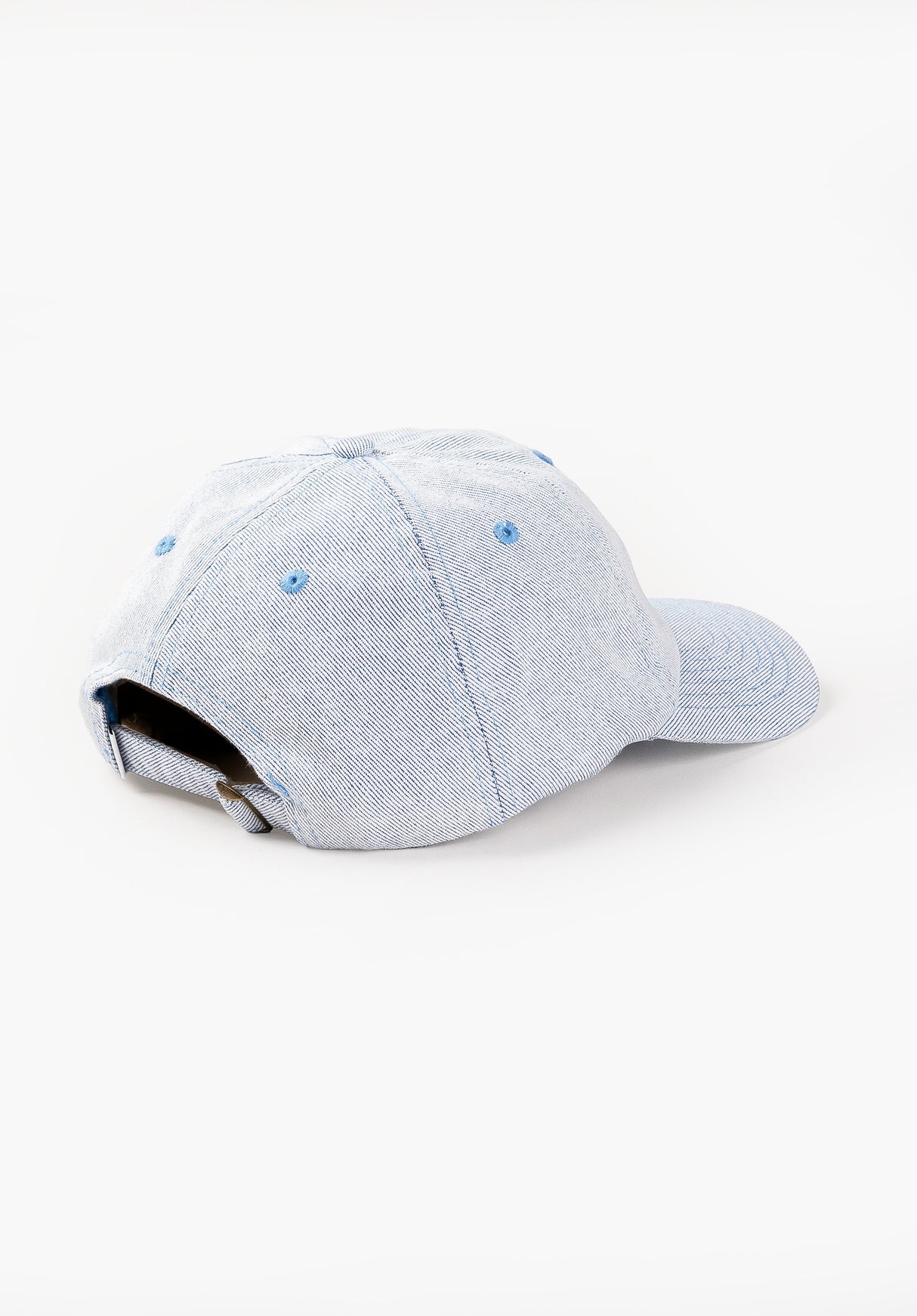 HXGN Icon Dad Cap sandybluefaded Rueckenansicht
