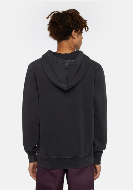 Dickies Plentywood Hoodie black – Rückenansicht