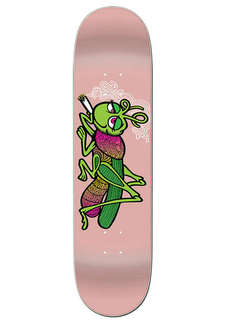 Grassbopper pink Vorderansicht