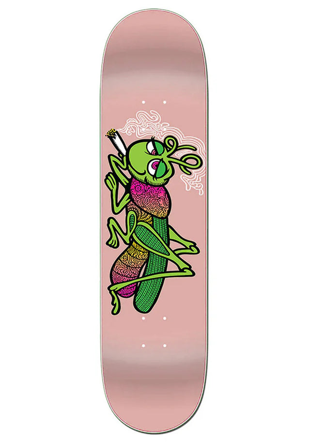 Grassbopper pink Vorderansicht