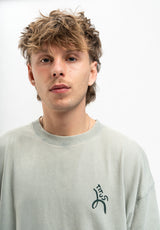 Helder lightgreen-faded Closeup1
