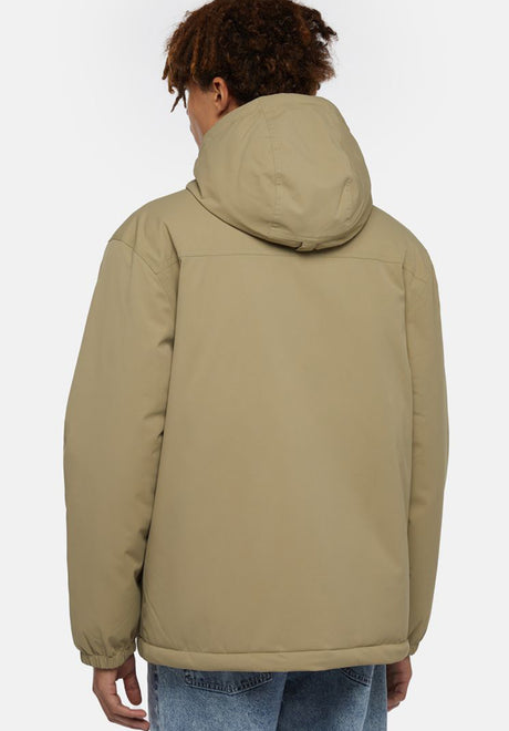 Dickies Plains Coat Winterjacke imperialgreen – Rückenansicht